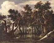 The Marsh In A Forest - 雅各布·凡·雷斯达尔